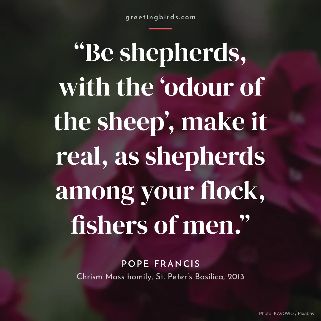 “Be shepherds, with the ‘odour of the sheep’, make it real, as shepherds among your flock, fishers of men.” — Pope Francis, Chrism Mass homily, St. Peter’s Basilica (2013)