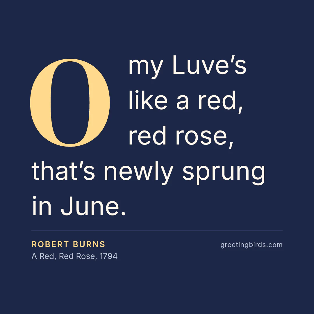 “O my Luve’s like a red, red rose, that’s newly sprung in June.” — Robert Burns, A Red, Red Rose (1794)