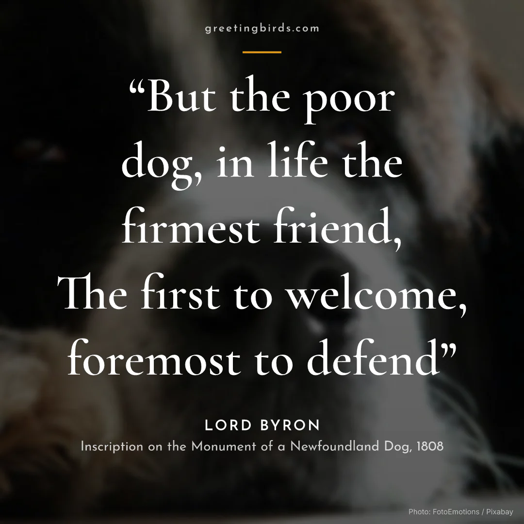 “But the poor dog, in life the firmest friend, / The first to welcome, foremost to defend” — Lord Byron, Inscription on the Monument of a Newfoundland Dog (1808)