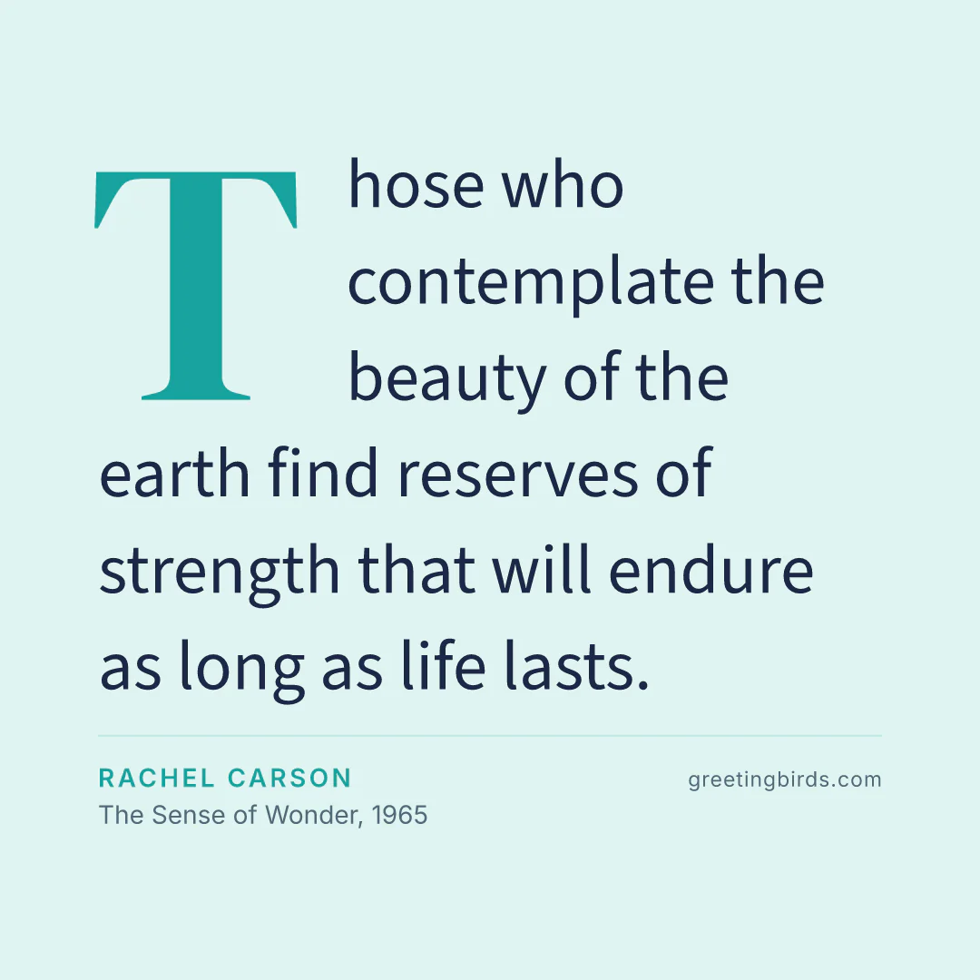 “Those who contemplate the beauty of the earth find reserves of strength that will endure as long as life lasts.” — Rachel Carson, The Sense of Wonder (1965)